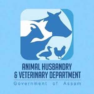 Assam Animal Husbandry Recruitment 2021: 694 Jr. Assistant, Grade IV  Vacancies in (Guwahati) Assam – Apply Online