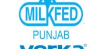 Punjab Verka Milkfed Assistant Manager Result 2022 | Check Senior Executive cut off marks @ verka.coop